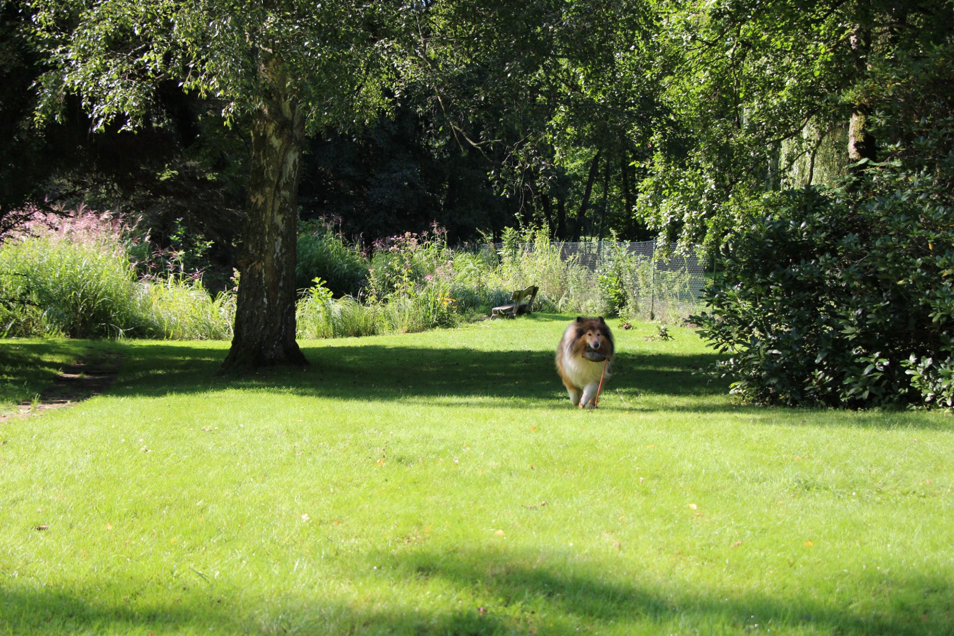 22+ nett Bilder Urlaub Mit Hund Im Ferienhaus Mit